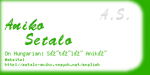 aniko setalo business card